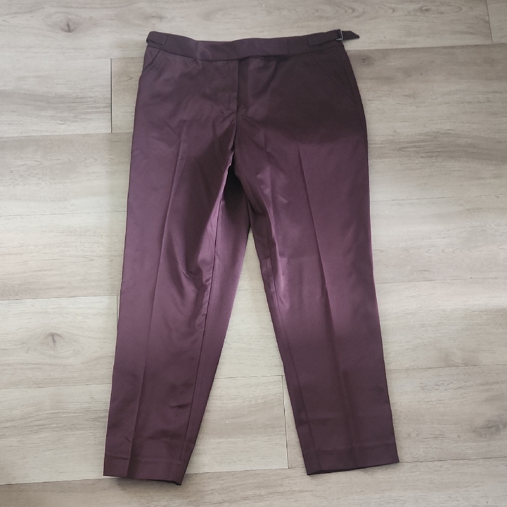 Max Studio Burgundy Pants